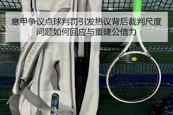 意甲争议点球判罚引发热议背后裁判尺度问题如何回应与重建公信力